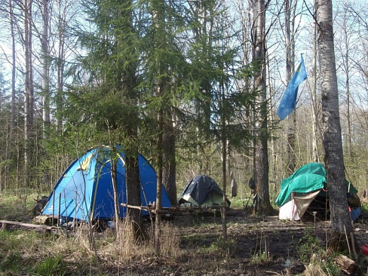 Юрьевецкие поисковики подняли останки красноармейца в Новгородской области